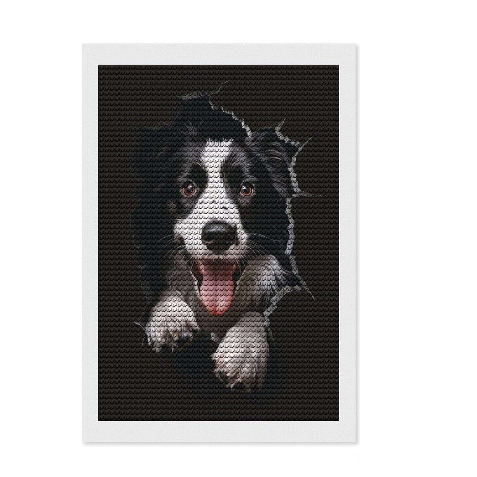 Junmoney Border Collie Dog Round Drill Diamond Painting 8"x12", Christmas Gift, Boho Decor, Aesthetic Room Decor, Relaxing Handmade Project