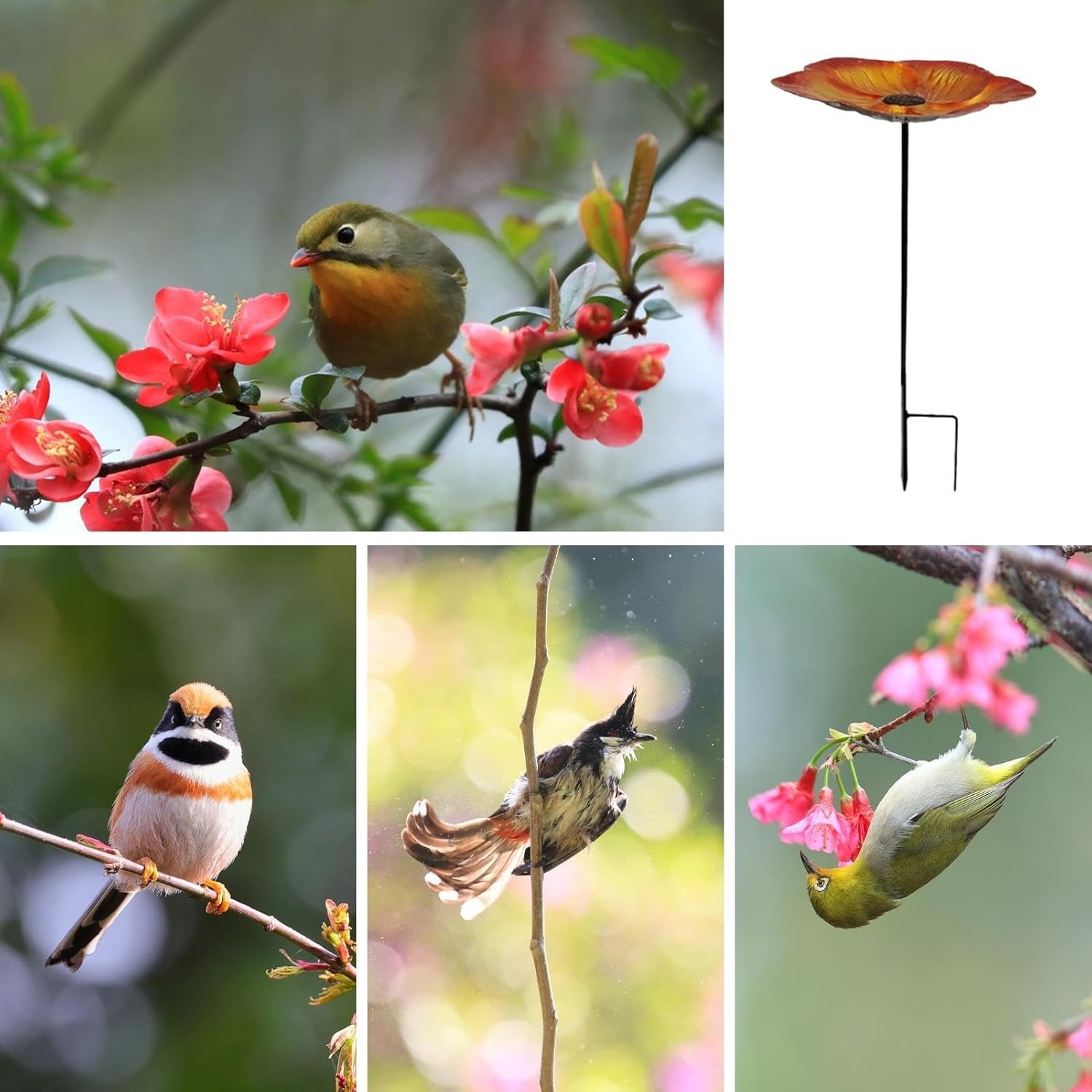 Bee Baths for Garden | Water Feeder Outdoor Decor - Butterfly Water Feeder Garden Bee Bath - for Backyard Patio Yard House Gardeners Beekeepers Nature Lovers