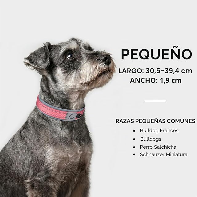Foto 5 de 7 de Joytale Collar Perro Pequeño, Resistente y Reflectante, Ajustable de Acolchado Neopreno Nylon, Rosa, S
