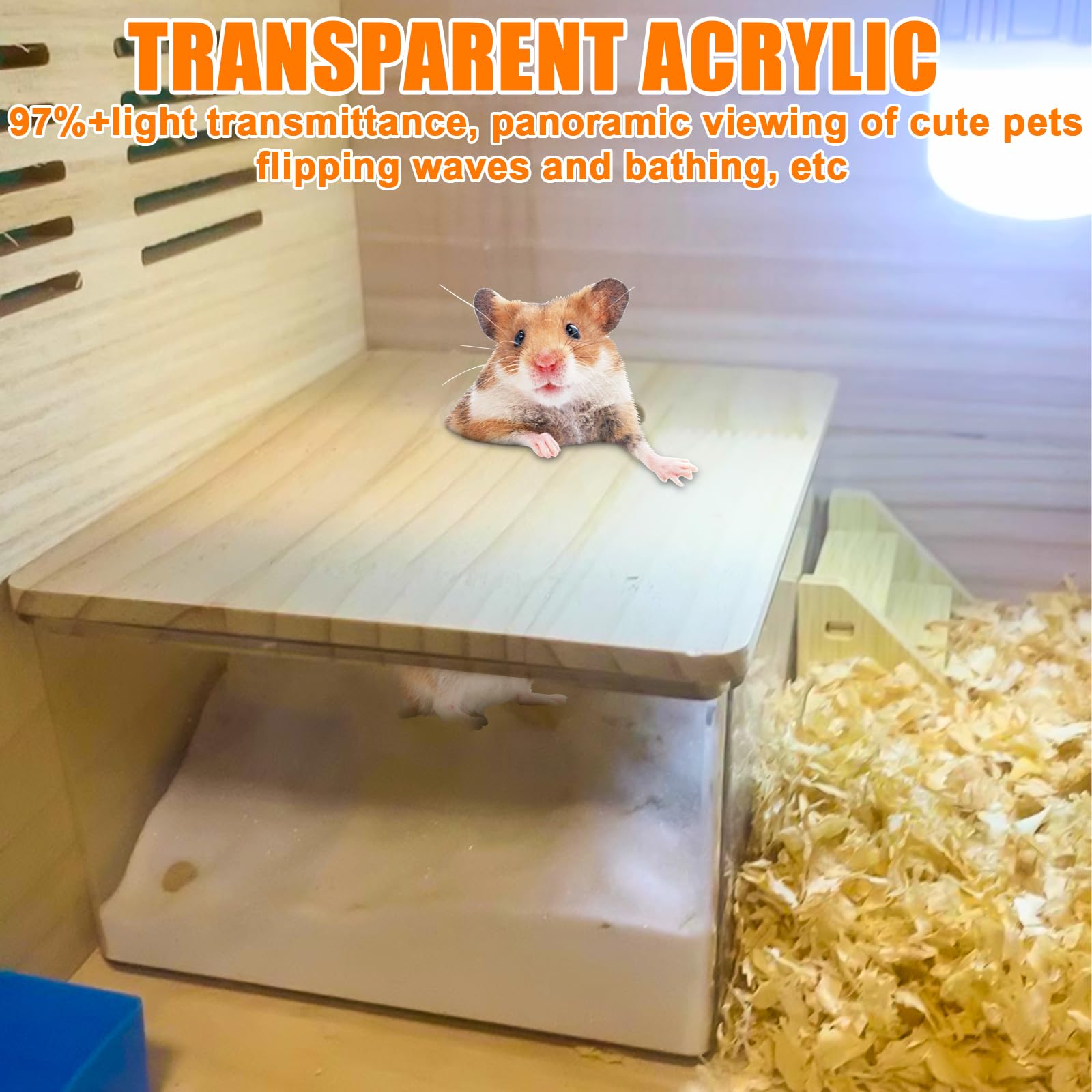 Hamster Salle de bain de sable transparent avec échelle et pelle, carré