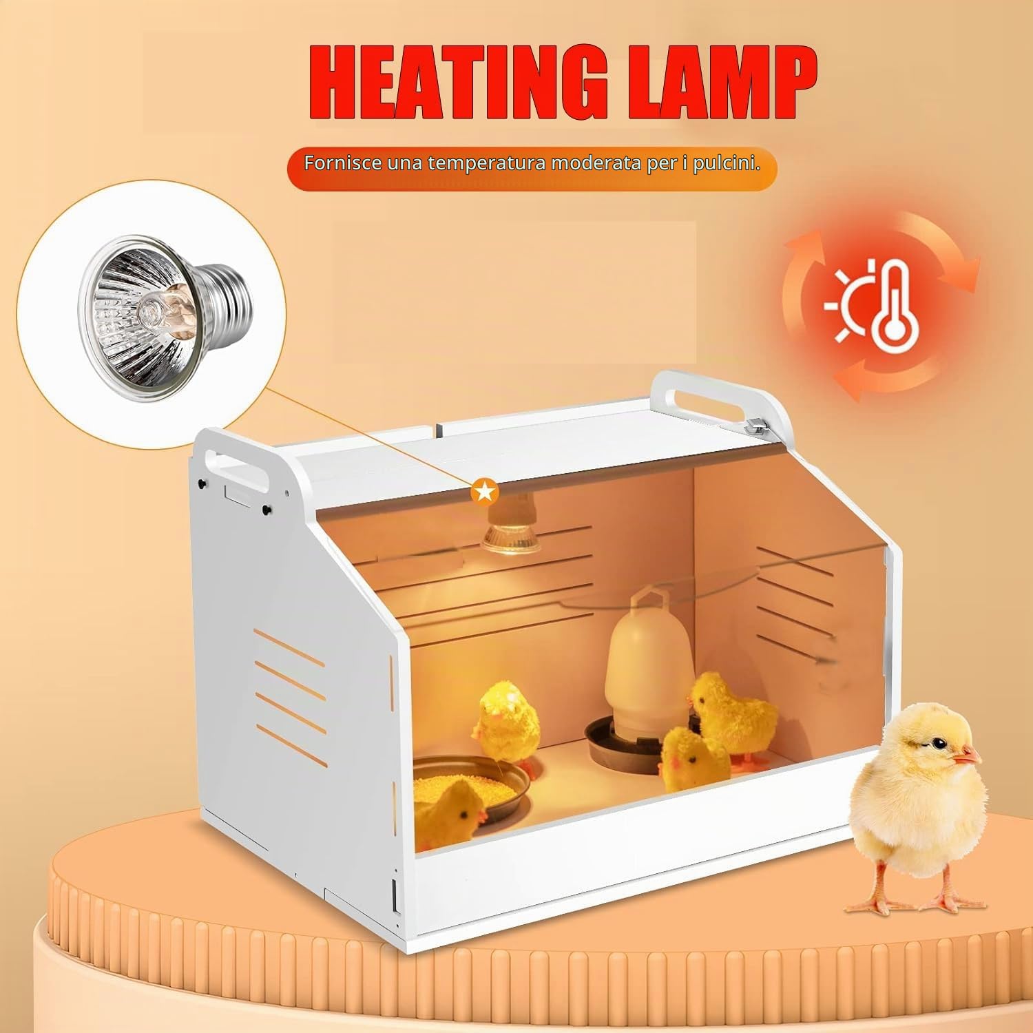 Incubatore per Pulcini con Termometro e Lampada, Scatola di Calore per Pulcini, Scatola di Allevamento per Pollame, Rettili e Piccoli Animali 220V