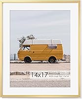 Vista 259 de Fun Memories Portarretratos de metal de 16 x 20 pulgadas con paspartú de 11 x 14 pulgadas, acabado de aluminio cepillado, parte delantera de vidrio