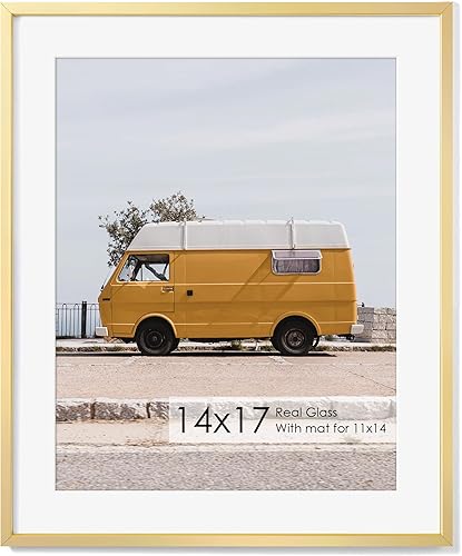 Miniatura 259 de Fun Memories Portarretratos de metal de 16 x 20 pulgadas con paspartú de 11 x 14 pulgadas, acabado de aluminio cepillado, parte delantera de vidrio