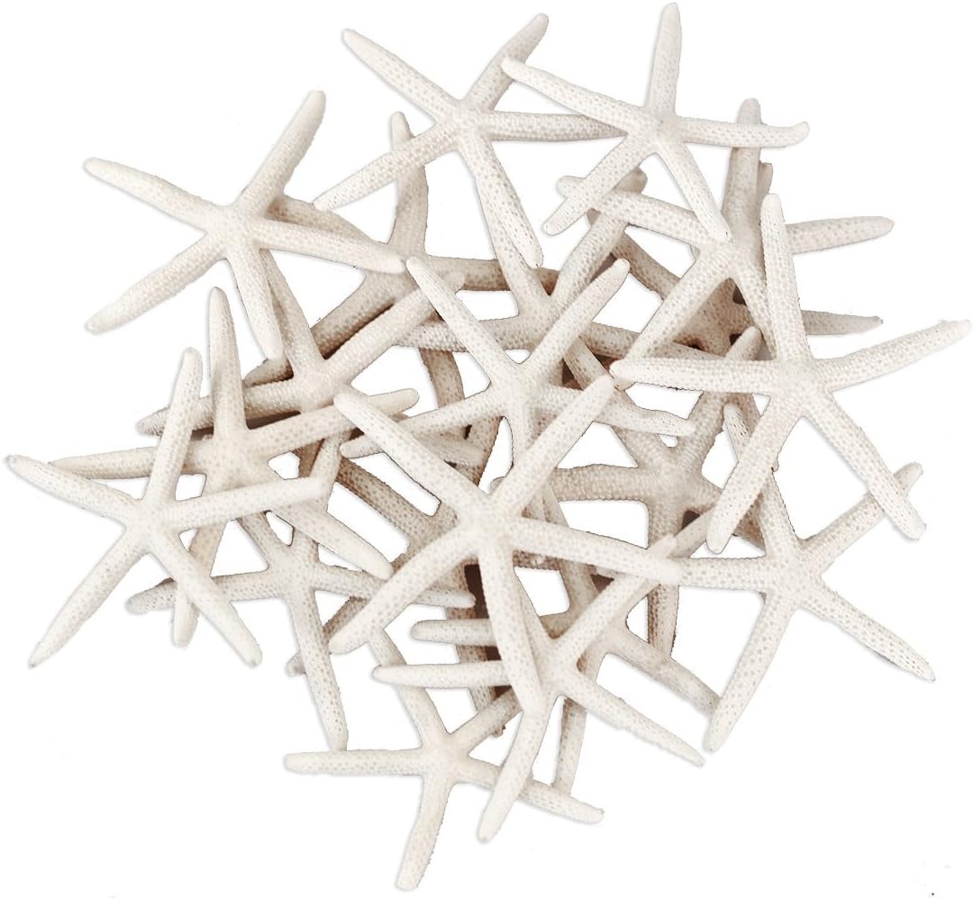 Starfish Sea Stars - All-Natural White Decorative Starfish Fingers - 20-Count (2-3 Inch) - White Decorative Sea Stars - Decorative Starfish for The Home, Gifts, Events, and Crafting