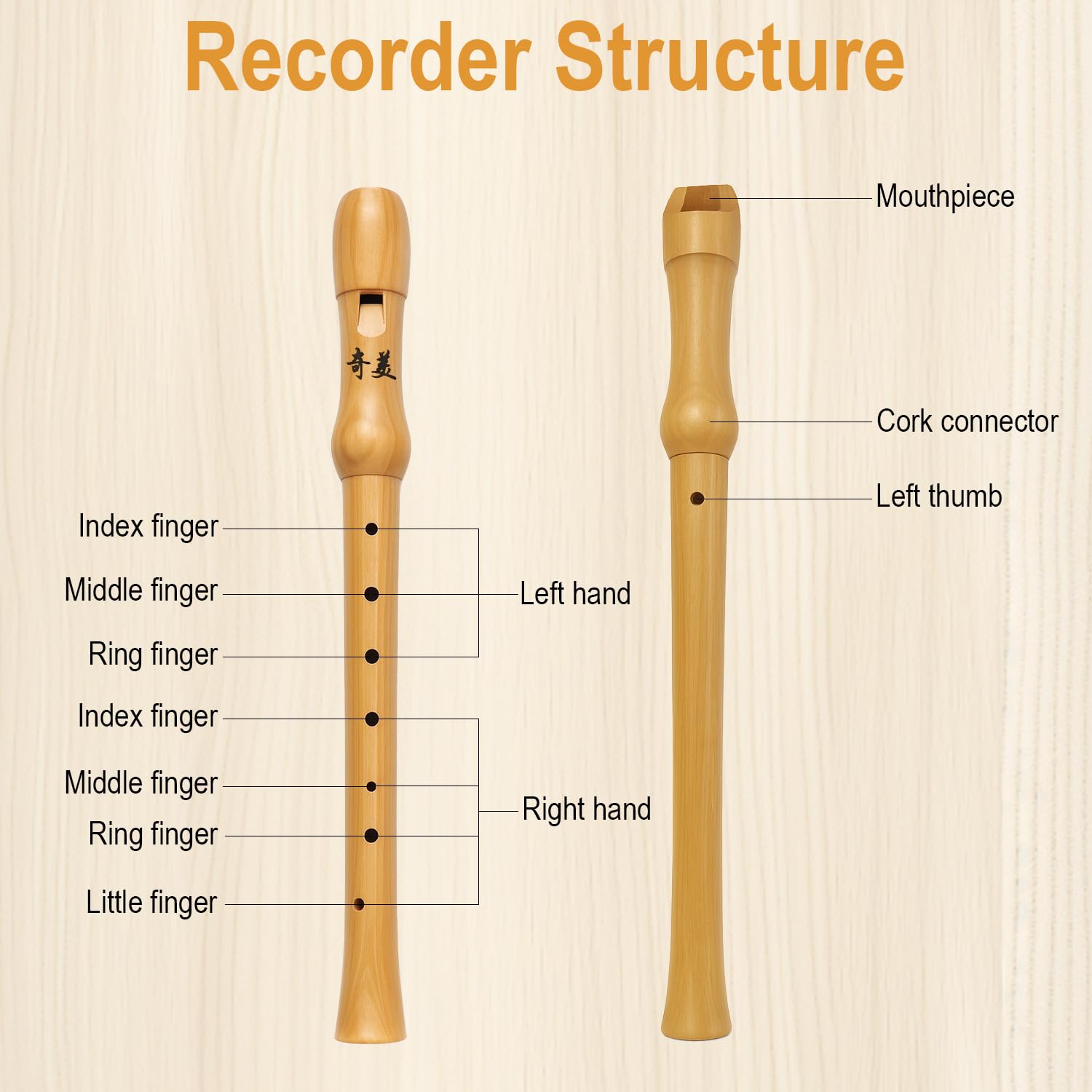 Flûte à Bec en Bois,Flûte à Bec Soprano,Flûtes à Bec à 8 Trous Conception Détachable avec Boîte Cadeau Brosse à Nettoyer Flute a Bec Enfant pour élèves et Débutants