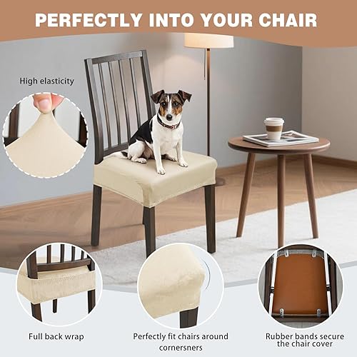 Miniatura 2 de Juego de 6 fundas de asiento para sillas de comedor, de terciopelo elástico, extraíbles y lavables, para sillas de comedor (juego de 6, beige)