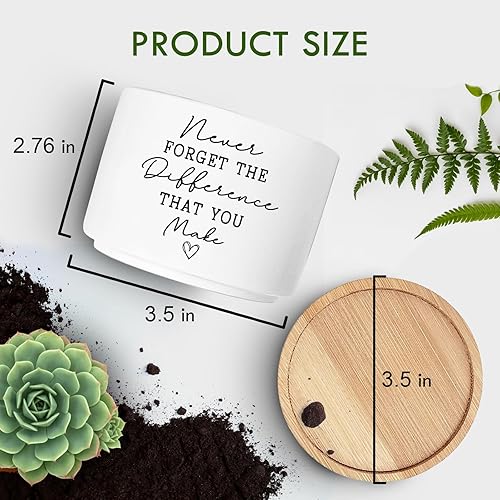 Miniatura 5 de Regalos de agradecimiento para compañeros de trabajo, divertida maceta para suculentas, regalos de maceta de cactus de flores, regalos inspiradores