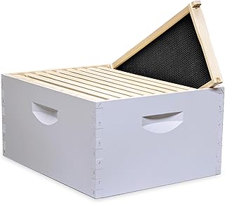 Mann Lake 10-Frame Deep Hive Kit, Fully Assembled 9⅝" Bee Hive Body with 10 Frames & Beeswax-Coated Plastic Foundation for Brood Replacement, Colony Growth & Honey Production, Made in USA, Painted