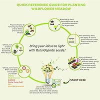 Vista 7 de Outsidepride Marigold - Mezcla