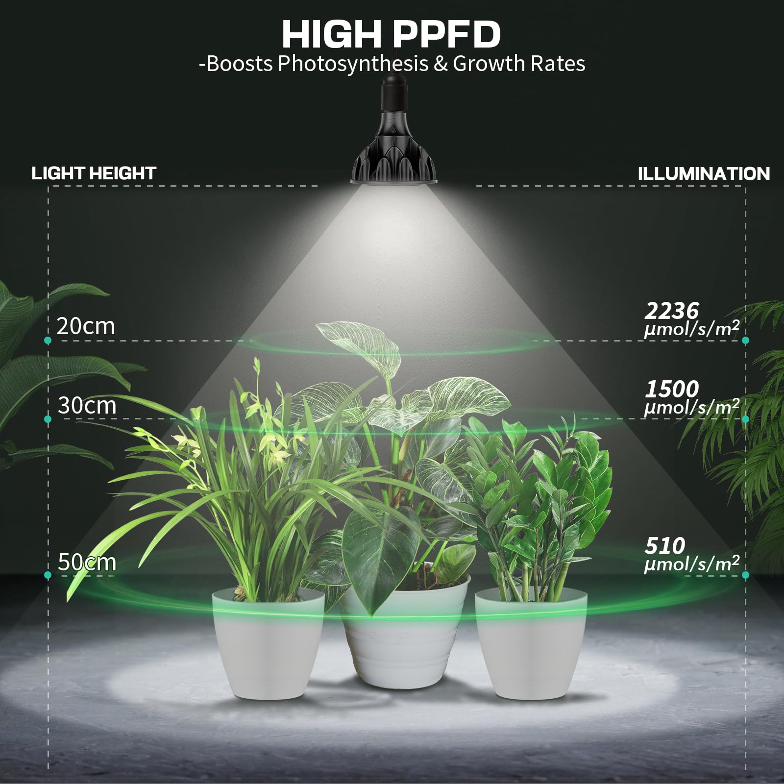 Qoolife 36W Planta Lámpara Led Full Spectrum, E27 Lámpara de Crecimiento con alta PPFD Crecer Lámparas, 6000K LED Planta de Luz para Plantas de Interior, Invernadero Jardín Negro