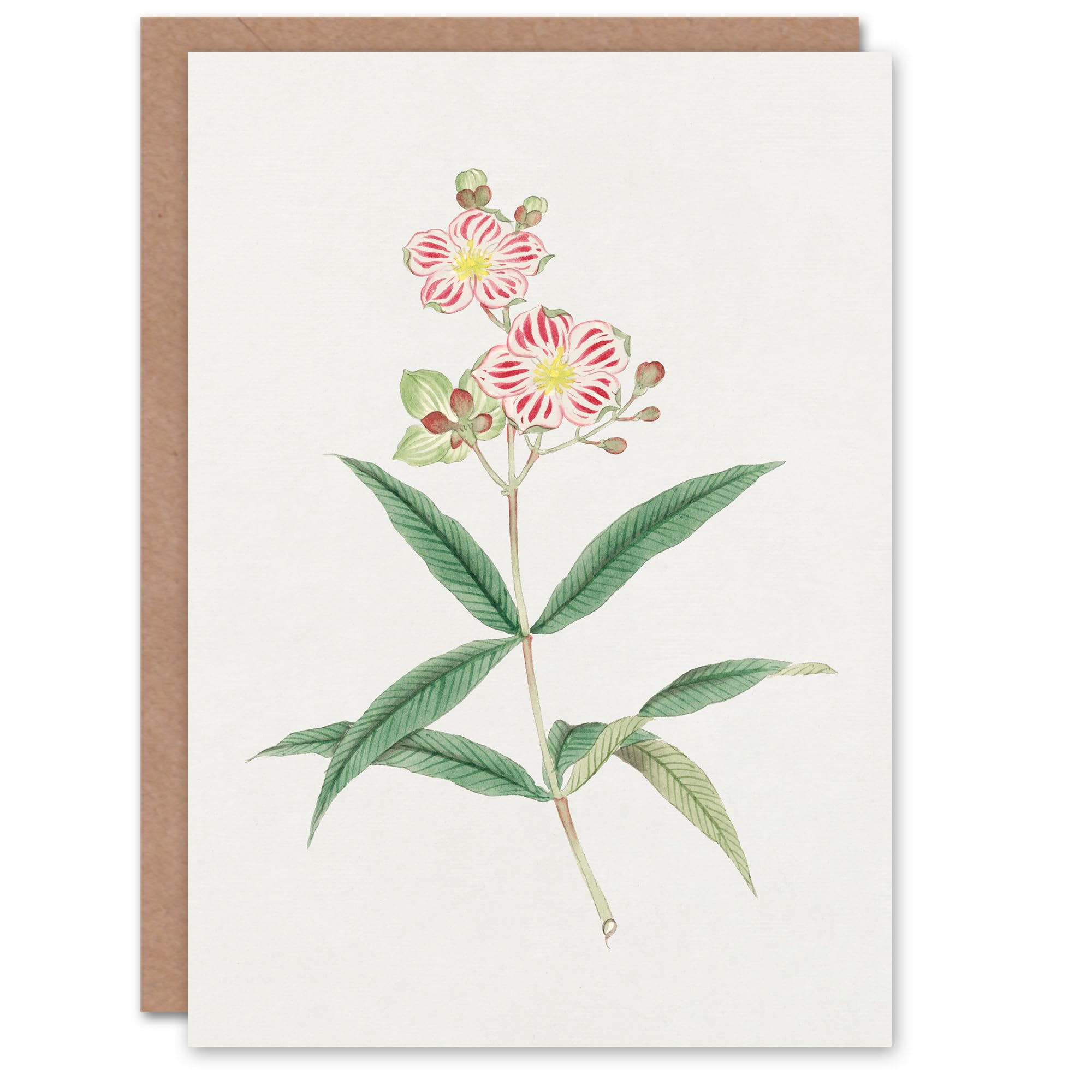 Artery8 Greeting Card - Japanese Botanical Art - Red White Blossoms