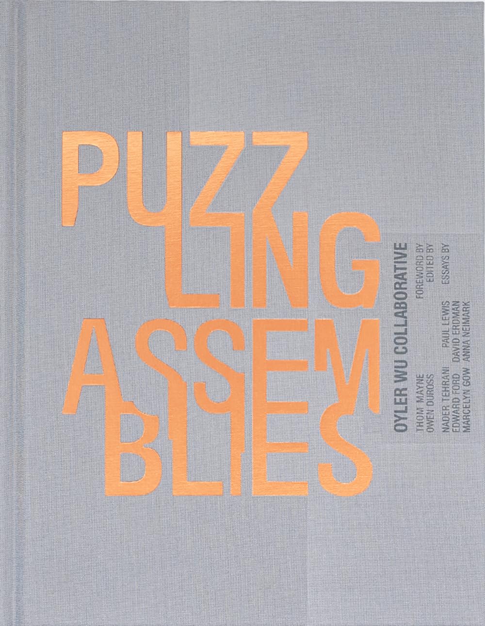 Puzzling Assemblies