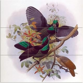 Tile Mural Family of Black and Green Tropical Birds by Daniel Giraund Elliot Kitchen Bathroom Shower Wall Backsplash Splashback 3x3 4.25" Ceramic, Glossy
