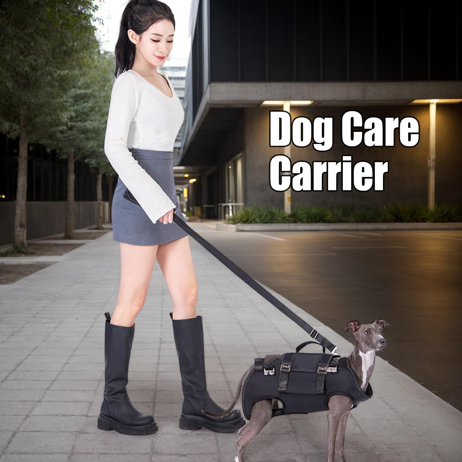 Soporte de elevación de perros, soporte de patas para cachorros – Sujetador ajustable transpirable para adiestramiento, movilidad y caminata, ideal para cachorros, perros mayores y razas grandes