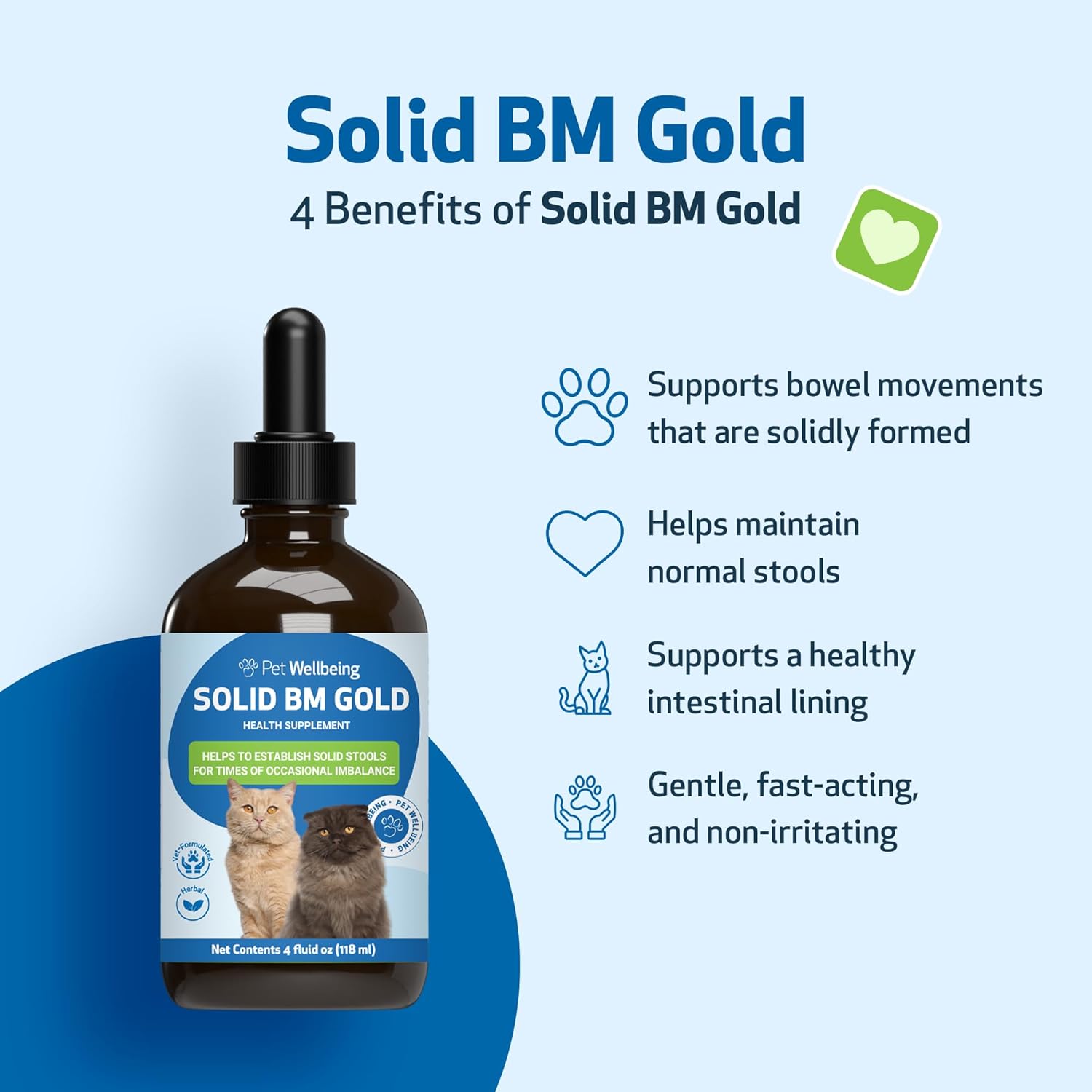 Pet Wellbeing Solid BM Gold for Cats - Supports Healthy Digestive Function, Solid Stools, Bayberry, Oregon Grape - Veterinarian-Formulated Herbal Supplement 4 oz (118 ml) (4 fl oz (118 ml))
