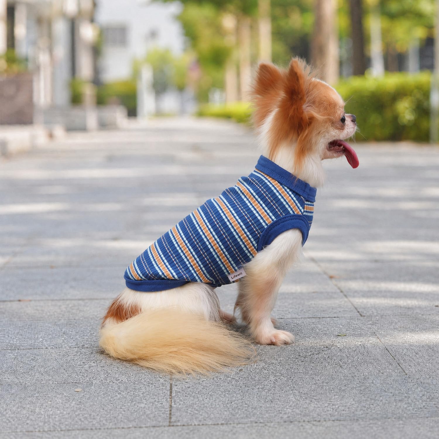 LOPHIPETS Camiseta de algodón 100% acanalado para perros pequeños, Chihuahua, cachorro, camiseta sin mangas, azul/L