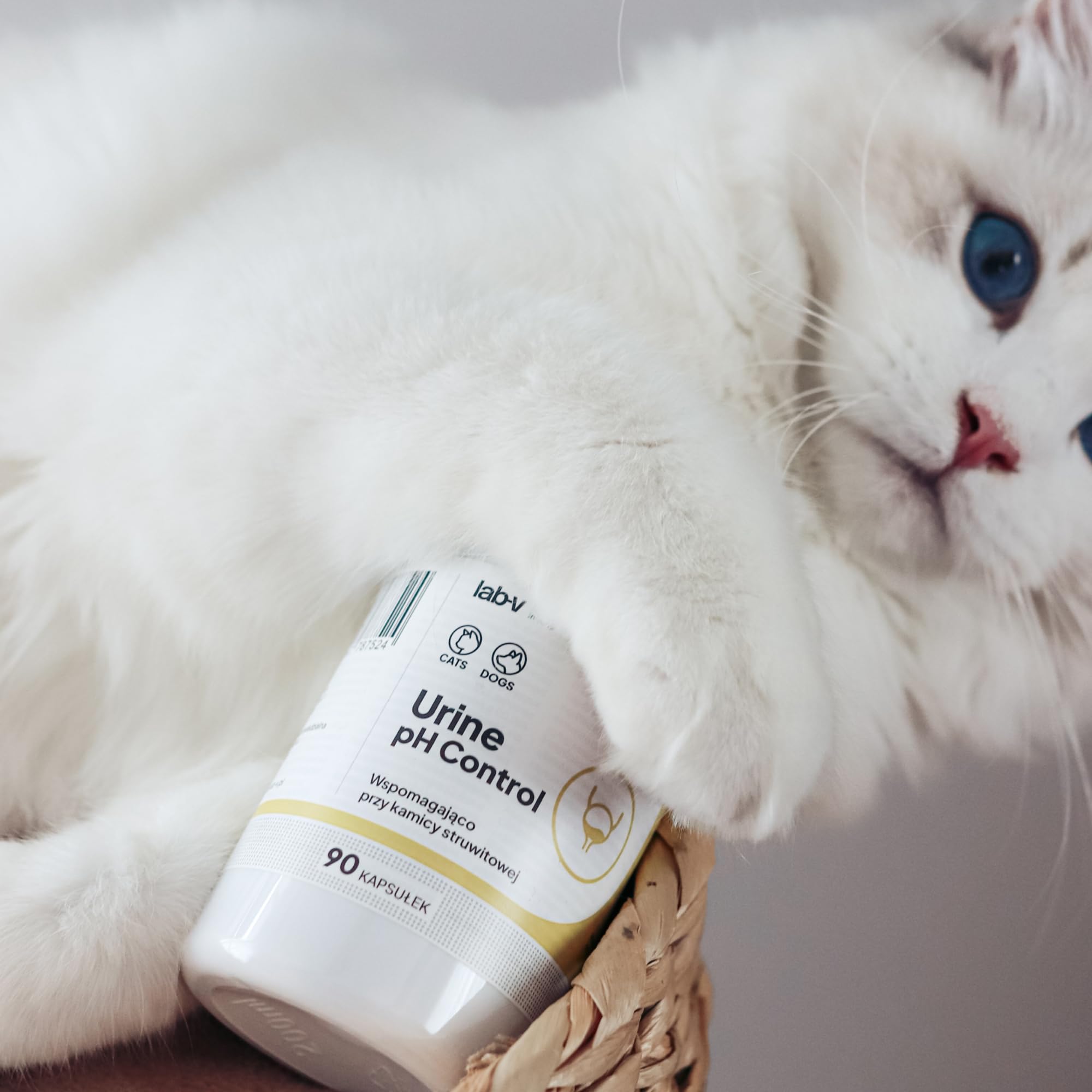 Lab-V Urine pH Control für Hunde und Katzen – Ergänzungsfuttermittel bei Struvitsteinen – 90 Kapseln – unterstützt die Harnwegsgesundheit – ohne künstliche Zusatzstoffe