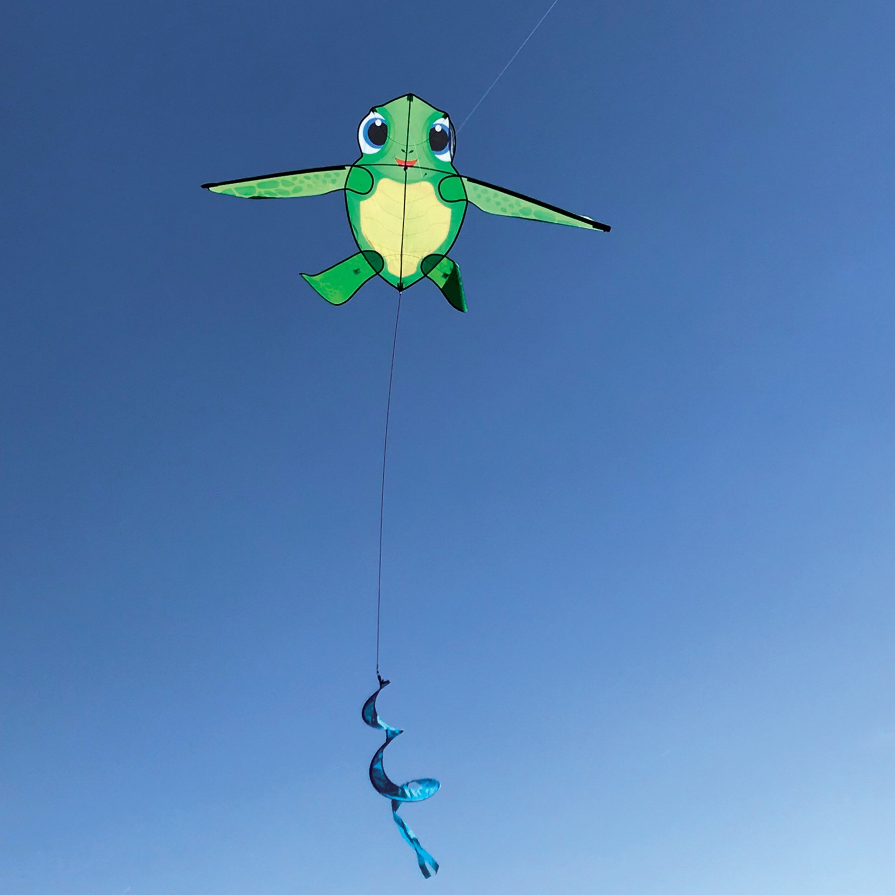 In the Breeze Baby Tortuga Kite, 58