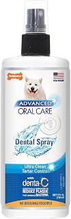 Nylabone Advanced Oral Care Dental Spray for Dogs - Tartar Control, Breath Freshener, Vet-Recommended, No Brush Needed, 4oz