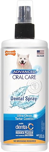 Nylabone Advanced Oral Care Dental Spray Fresh Breath 4 oz 1 unidad
