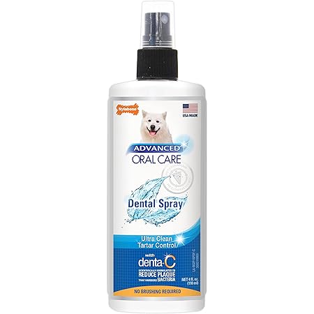 nylabone toothpaste reviews