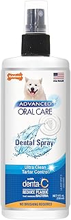 Nylabone Advanced Oral Care Dental Kits for Dogs & Cats