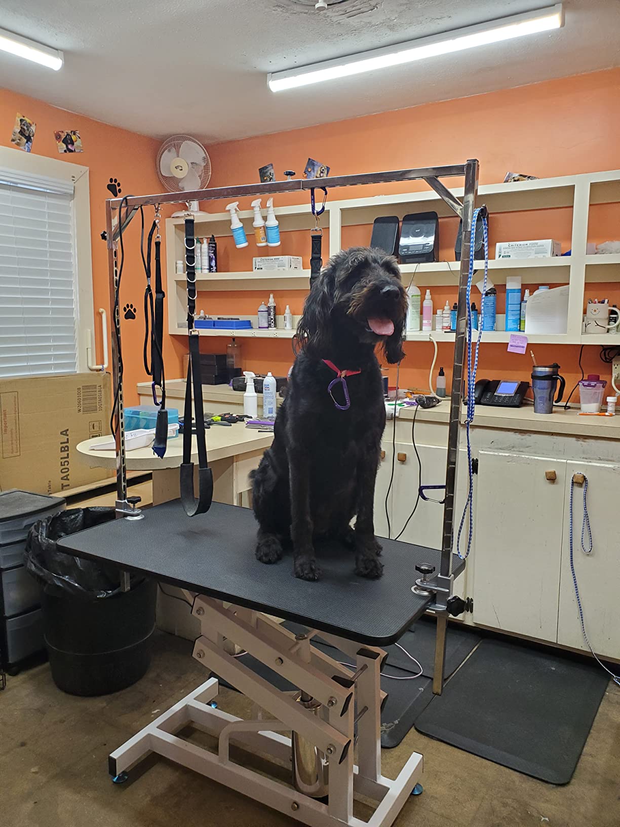 12/mo Finance Unovivy Hydraulic Dog Grooming Table, Heavy Duty