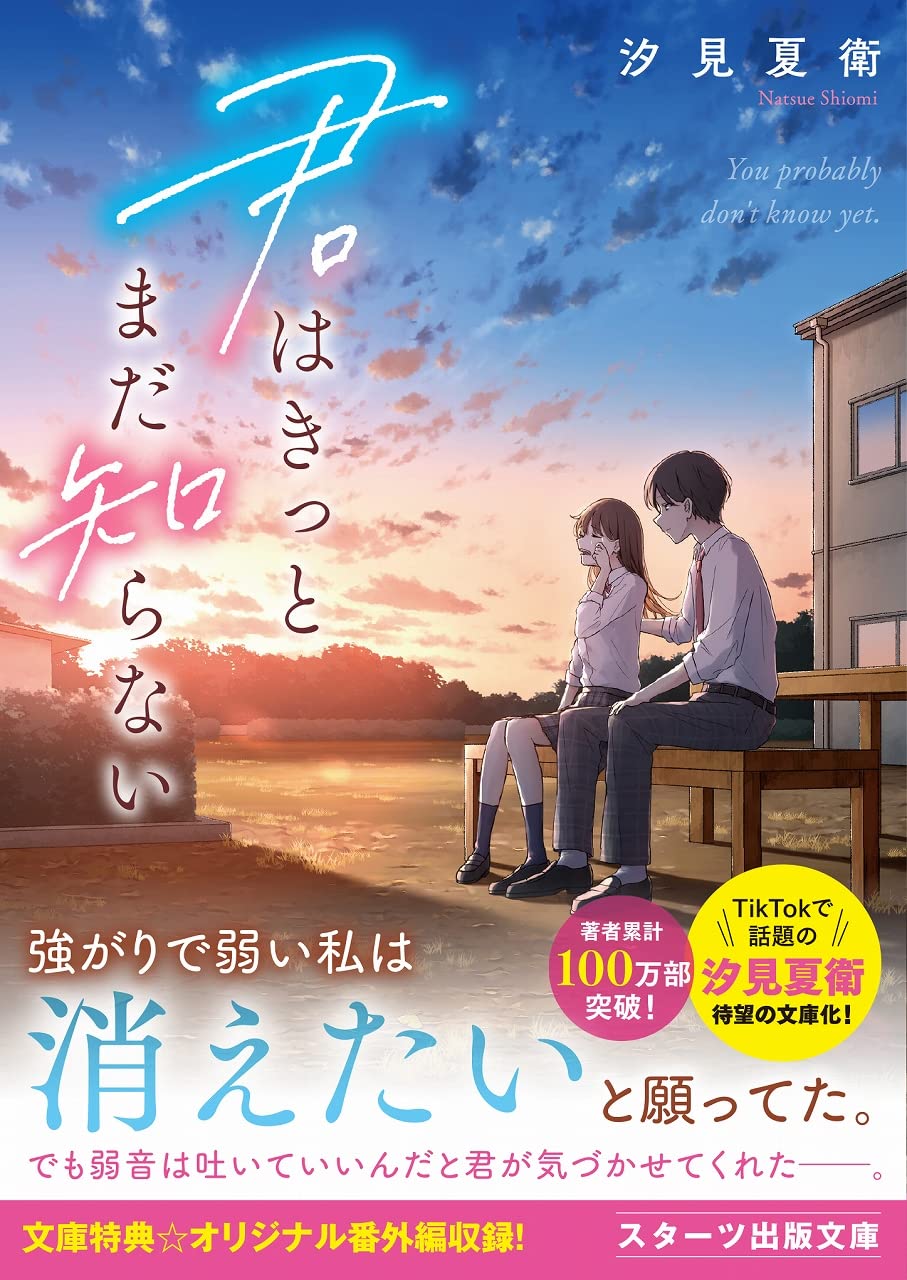 10代中高生に！おすすめの恋愛小説ランキング