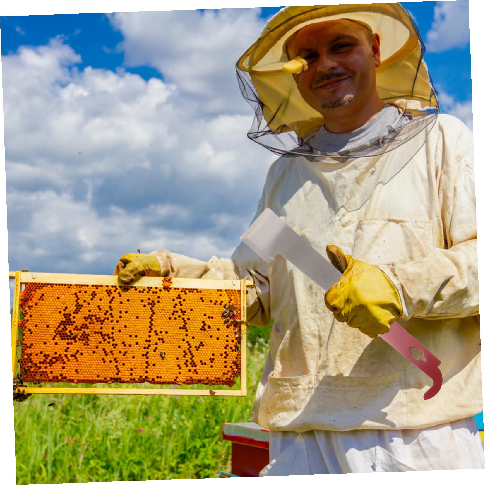 SUPVOX 5 Pièces Outils D'apiculture Cadre Kit D'apiculture