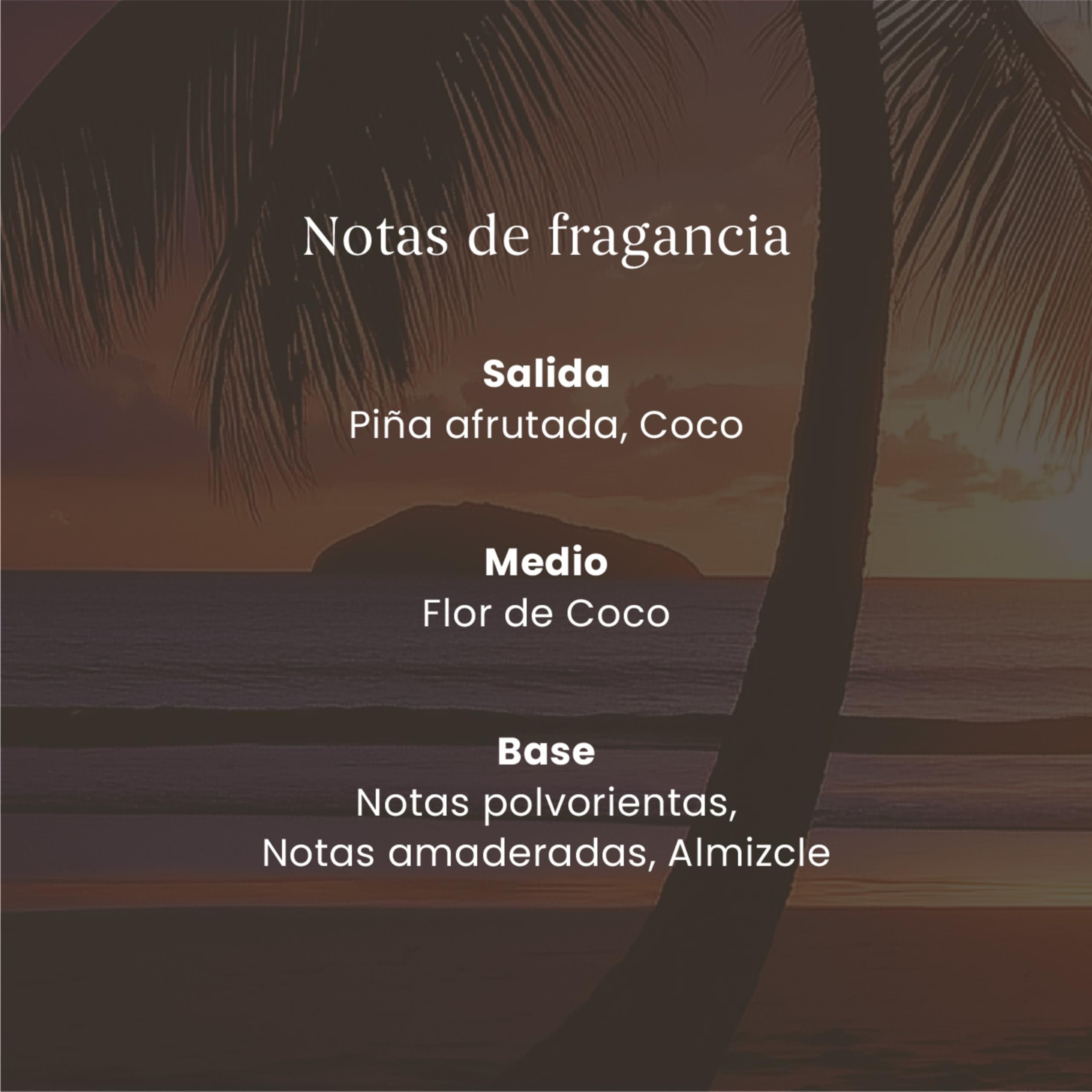 Yankee Candle Recambios de Fragancia para Ambientador Eléctrico ScentPlug| Aceite ambientador enchufable Black Coconut | hasta 60 días de Fragancia | 2 Unidades