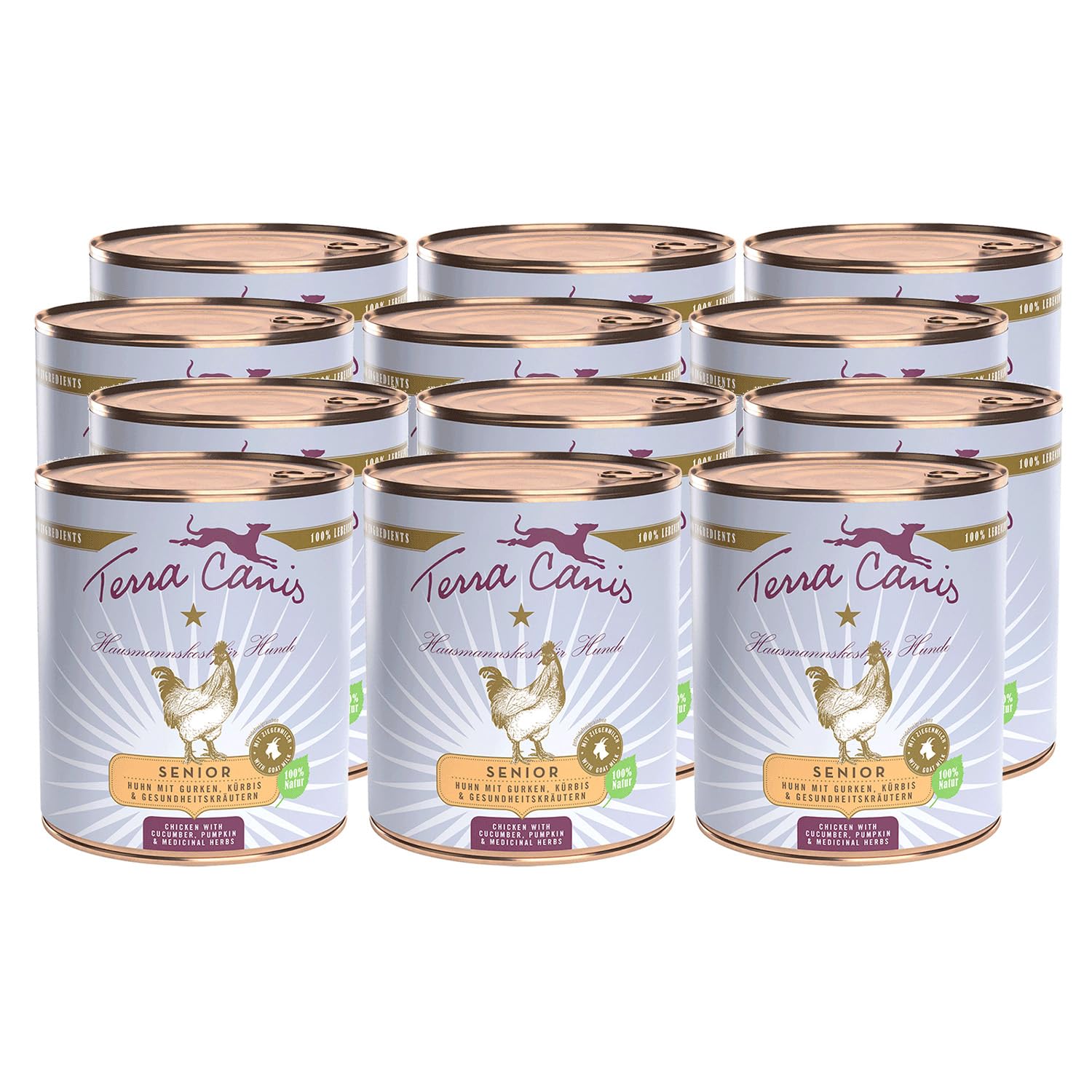 Terra Canis Pollo, Pepino, Calabaza y Hierbas medicinales - Senior, 12x800g I alimento húmedo Premium para Perros Human-Grade de Todos los Ingredientes I bajo Contenido de alérgenos