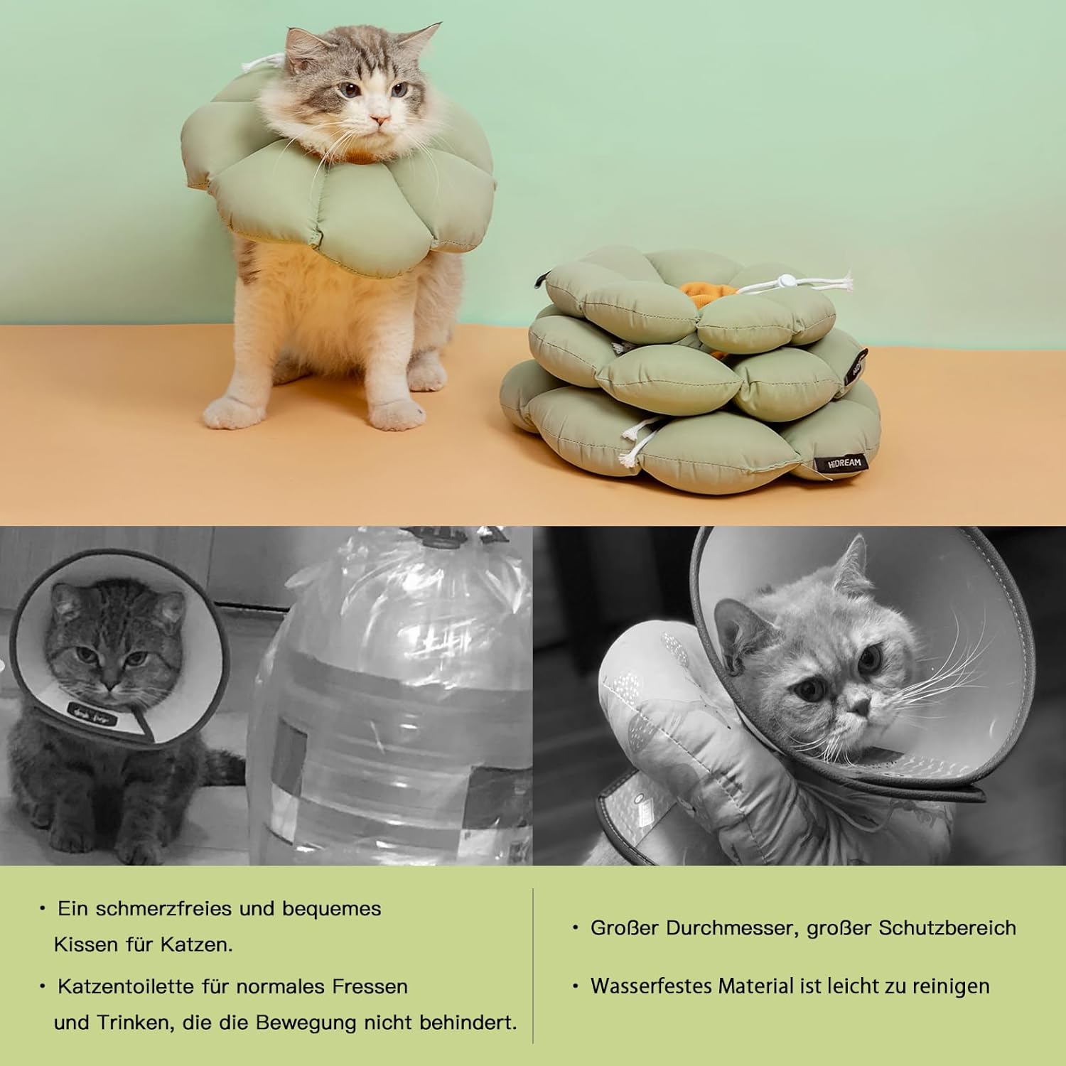 Die besten Katzenkragen zur Heilung und Lickschutz für Katzen 6 Goldenfellnase Soft Flowers Cone Grün M