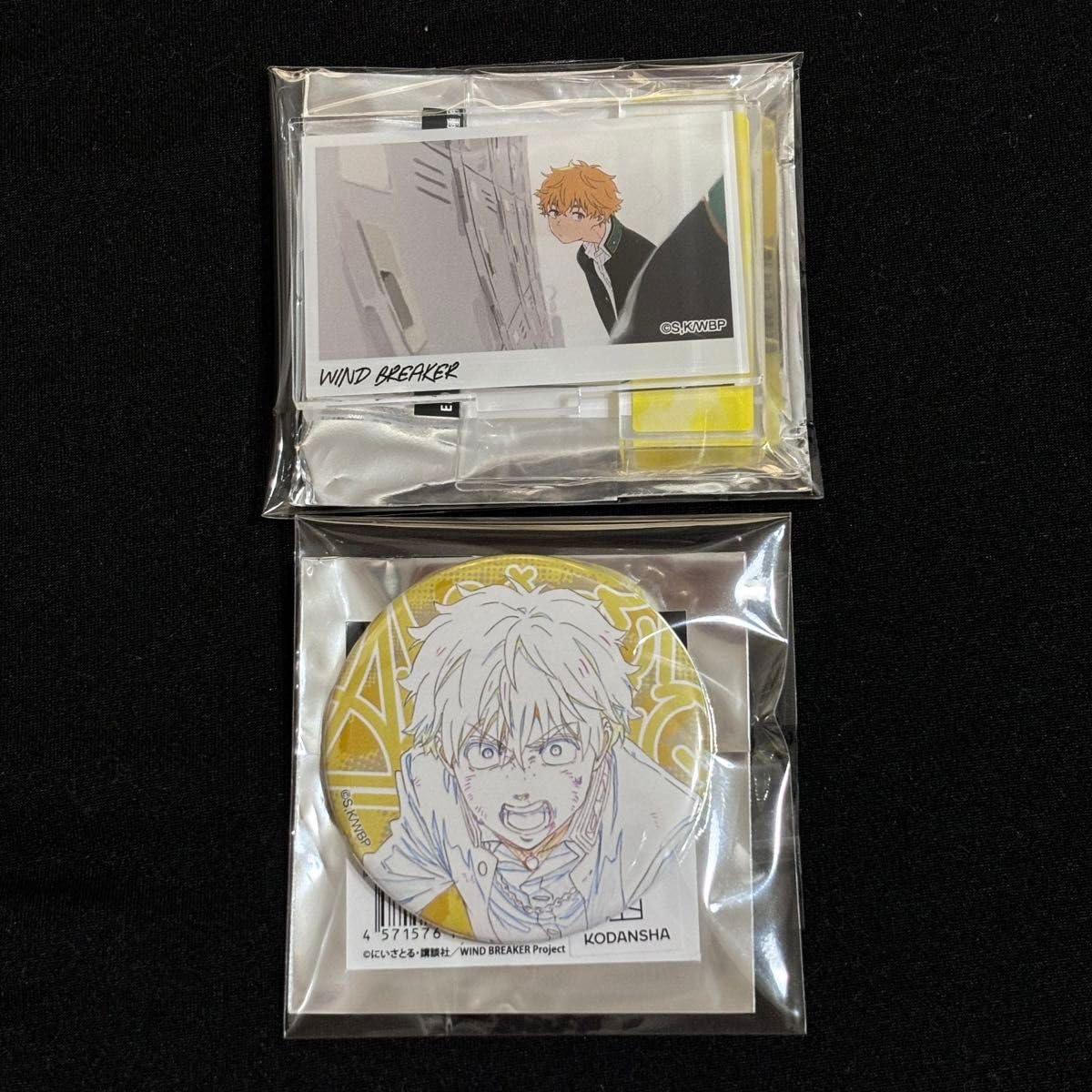 Amazon.co.jp: WINDBREAKER TSUTAYA 川崎駅前店 popupアクリル