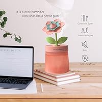 Vista 3 de Bedroom Mini Humidifier Cute, Auto Shut Off 260ml With Flower, Cool Mist, 7 Colors Night Light, Quiet, Portable Ultrasonic Essential Oil Diffuser