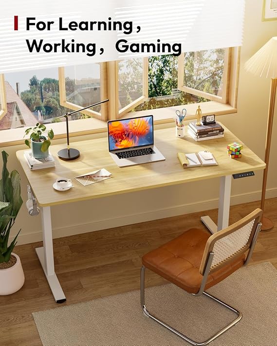 SANODESK 160 * 60cm Standing Desk Electric Height Adjustable Desk Large Stand Up Desks with 4 Memory Smart Pannel, Home Office Desk
