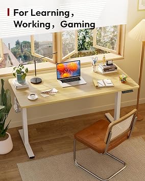 SANODESK 160 * 60cm Standing Desk Electric Height Adjustable Desk Large Stand Up Desks with 4 Memory Smart Pannel, Home Office Desk