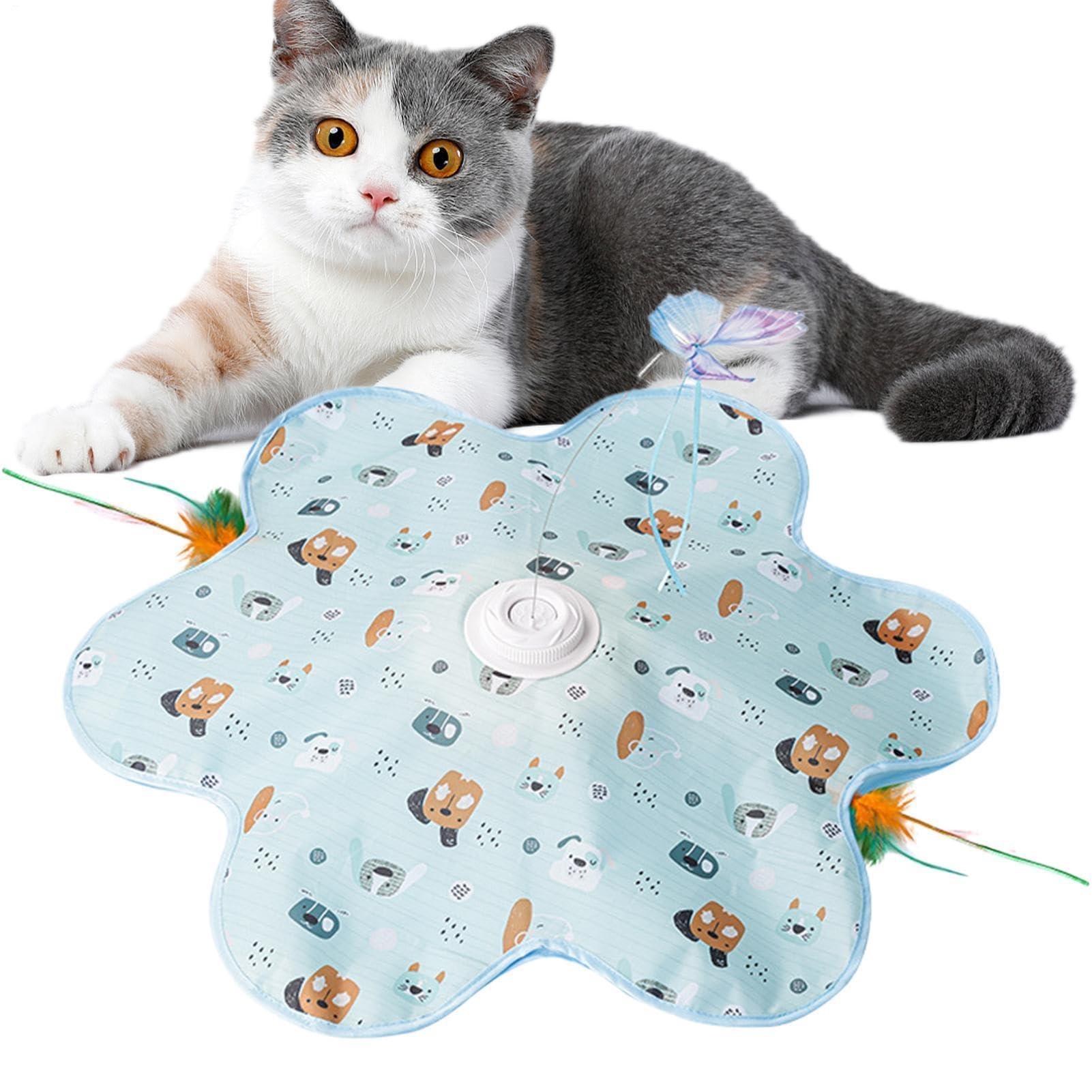 Jouet automatique pour chat interactif 3 modes et couineur rechargeable pour l'exercice