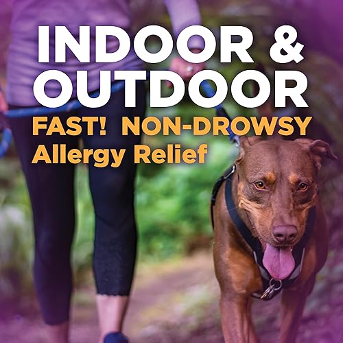 Miniatura 7 de Tienda Basic Care Alivio de alergias durante todo el día, tabletas de clorhidrato de fexofenadina, 180 mg, antihistamínico, sin somnolencia, alivio