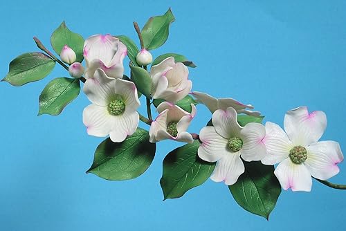 Miniatura 5 de Flores de primavera en azúcar (volumen I) con Scott Clark Woolley (formato DVD NTSC)