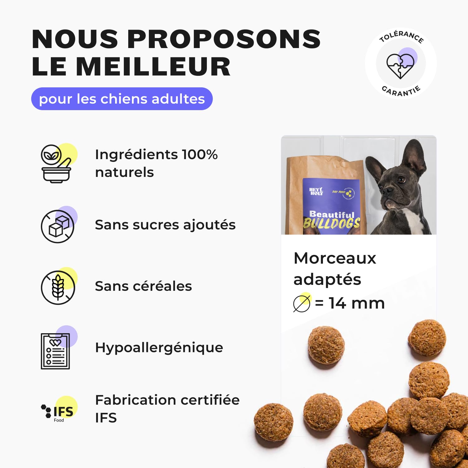 HEY HOLY Beautiful Bulldogs Croquettes Premium pour Bulldogues 100% sans céréales | Aliment hypoallergénique pour Bulldogues Adultes avec Saumon, 7kg | Très digestible, à Base d'ingrédients naturels