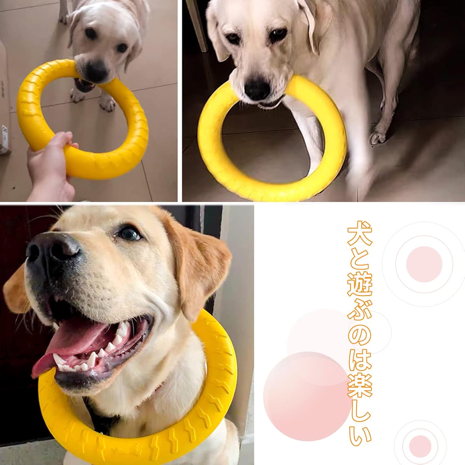 期間限定お試し価格 6本犬噛む おもちゃ 魚骨型 ペット用おもちゃ 歯ケア 犬用玩具 デンタルボーン Www Anavara Com