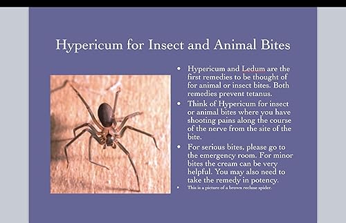 Miniatura 8 de First Aid Creams Company, LLC Hypericum Perforatum Cream 1 paquete