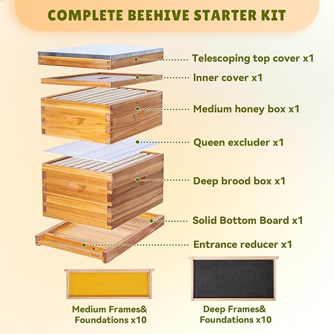 Kit Completo de Colmena de 10 Marcos con Cera de Abejas miniatura 5