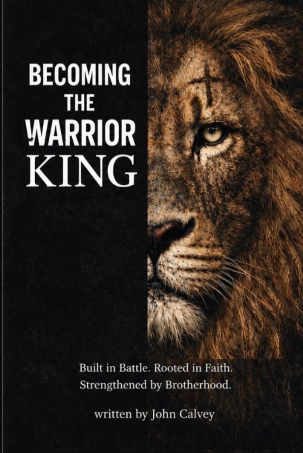 BECOMING THE WARRIOR KING: Fighting for Faith, Leading the Home, and Walking in Brotherhood