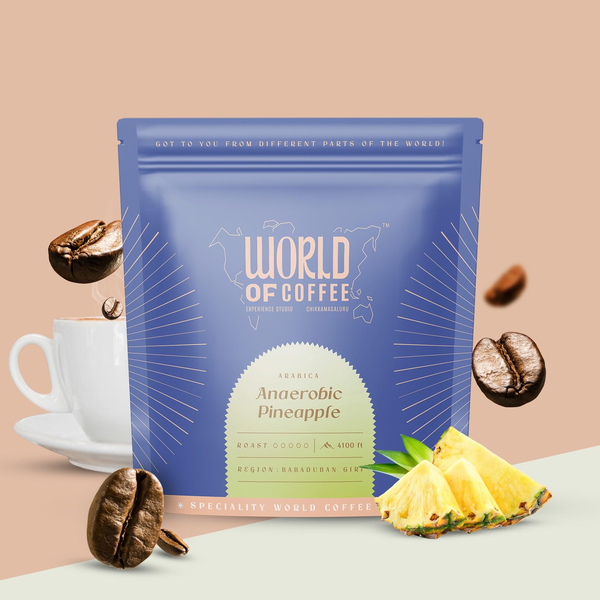 WORLD OF COFFEE Anerobic Pineapple | Best Coffee | 250 gm Roast & Ground Coffee | Rich Coffee Experience (Whole Beans) (Pack Of 1) (B0CCLFSP8C) Amazon Price History, Amazon Price Tracker