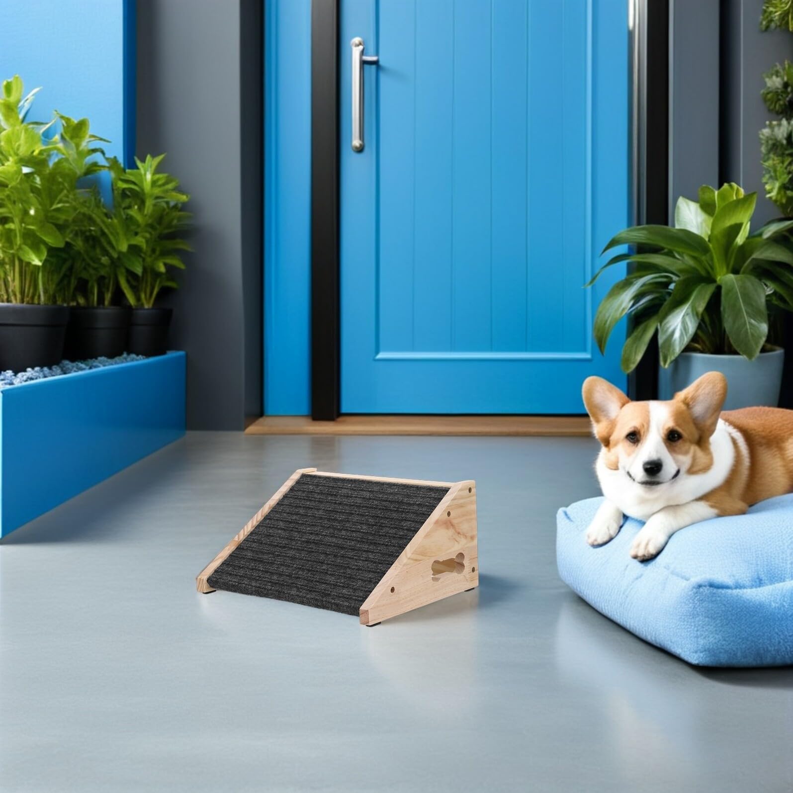 Holz Hunderampe Sanfte Steigung mit Rutschfester Oberfläche 2 Stück Schwarze Haustierrampe für Hunde und Welpen für Innenbereich und Reisen