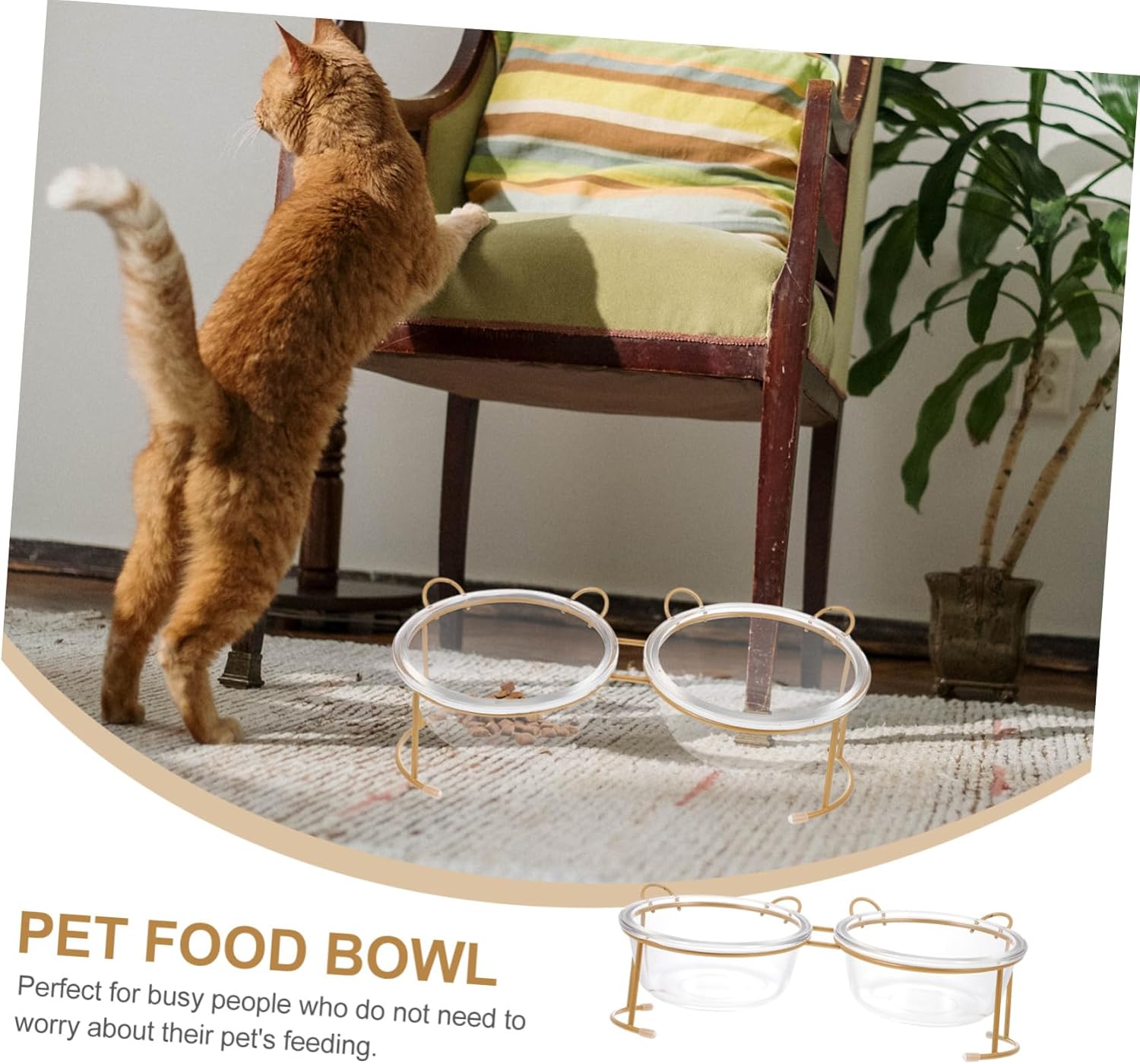 Raised Glass Cat Bowl with Bright Gold Iron Stand Non-Slip Dual Pet Feeding Bowls for Dogs and Cats Smooth Polished Edges for Safe Indoor Use Stable Design Prevents Overturning