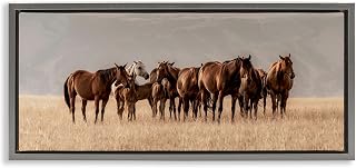 Stupell Industries Montana Mares Herd Brown Framed Floater Canvas Wall Art, design by Christy Berry, 14 x 31