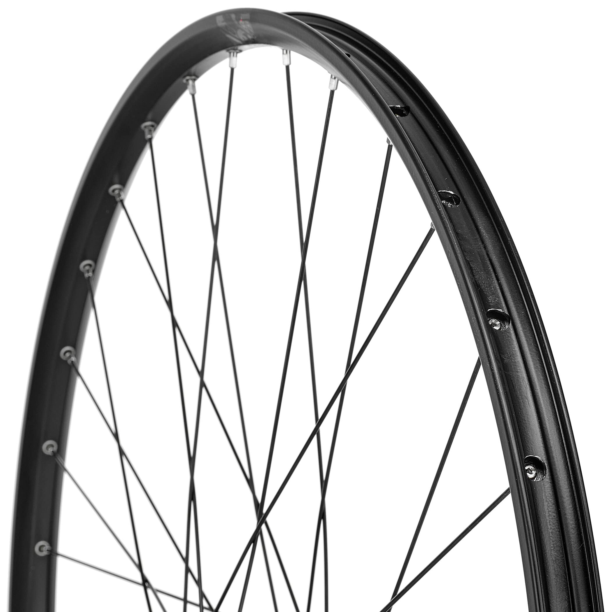 XLC 29? Hinterrad Rodi Black Rock Disc Evo 6-Loch 8-10-fach