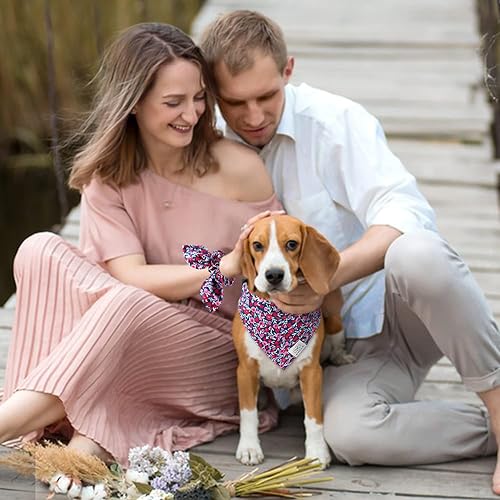 Miniatura 9 de E-Clover Collar de perro de Halloween  Collar de calabaza para perro bandana y coletero ajustable a juego, collares para perros pequeños y medianos,